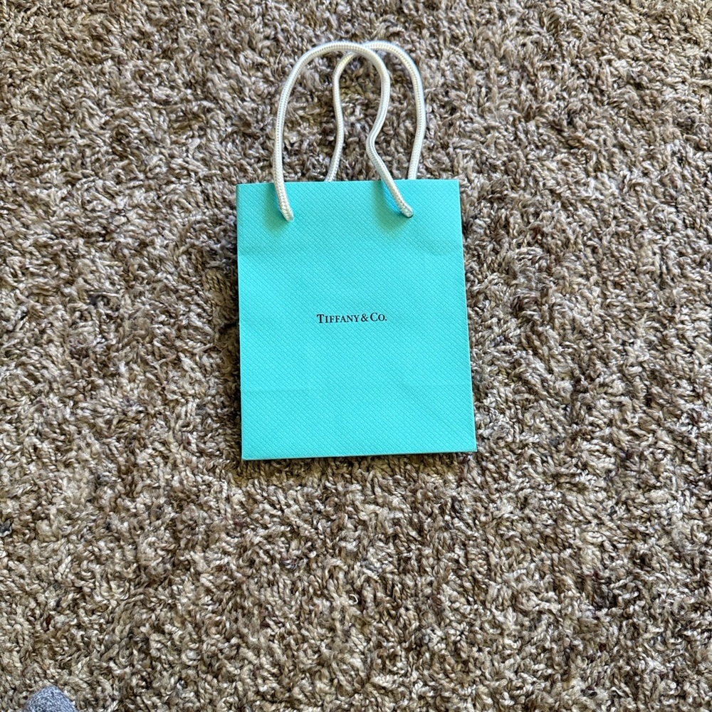 Tiffany & Co. Shopping Bag 💞